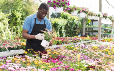 Workforce Readiness Horticulture, 16 weeks (1 semester), Northwest Arkansas Community College, Bentonville, AR, 72712