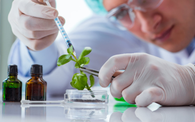 Natural Sciences, 2 years (4 to 5 semesters), Arkansas State University Newport, Newport, AR, 72112